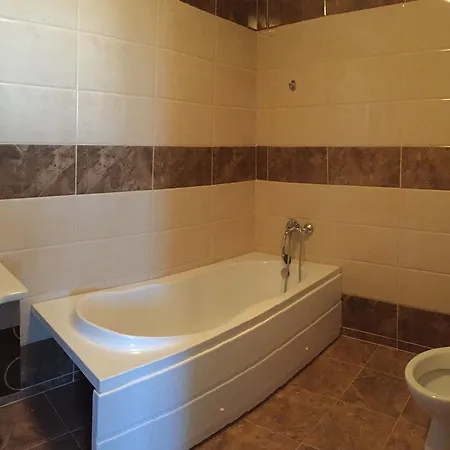 Zen House Apartment Ovidiu