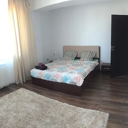 Zen House Apartment Ovidiu